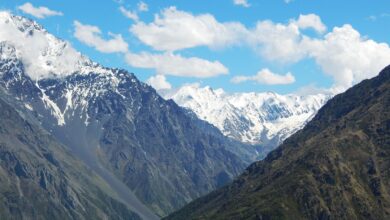 Photo of В Осетии состоится выставка фотографий природы