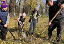 Photo of В Осетии проведут акцию по посадке деревьев