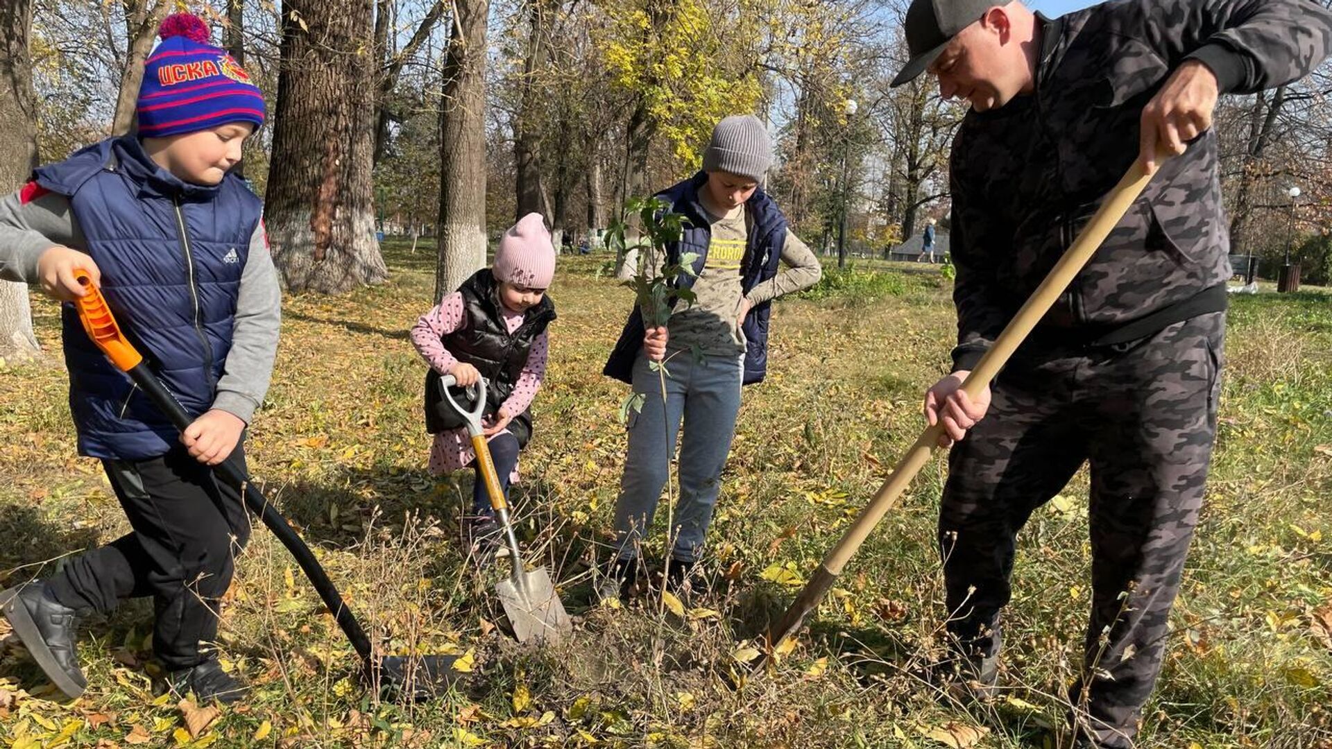 Фото 9 — В Осетии проведут акцию по посадке деревьев