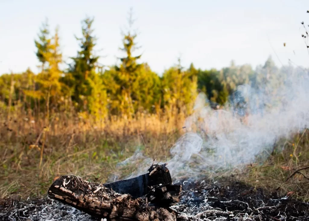 Фото 48 — Лесной пожар в горах