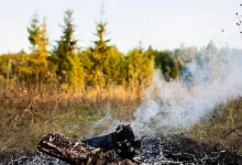 Photo of Лесной пожар в горах