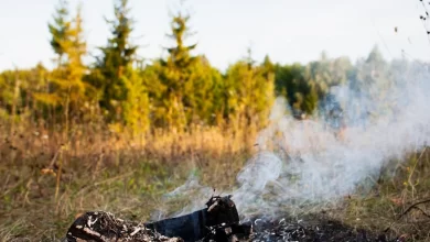 Photo of Лесной пожар в горах