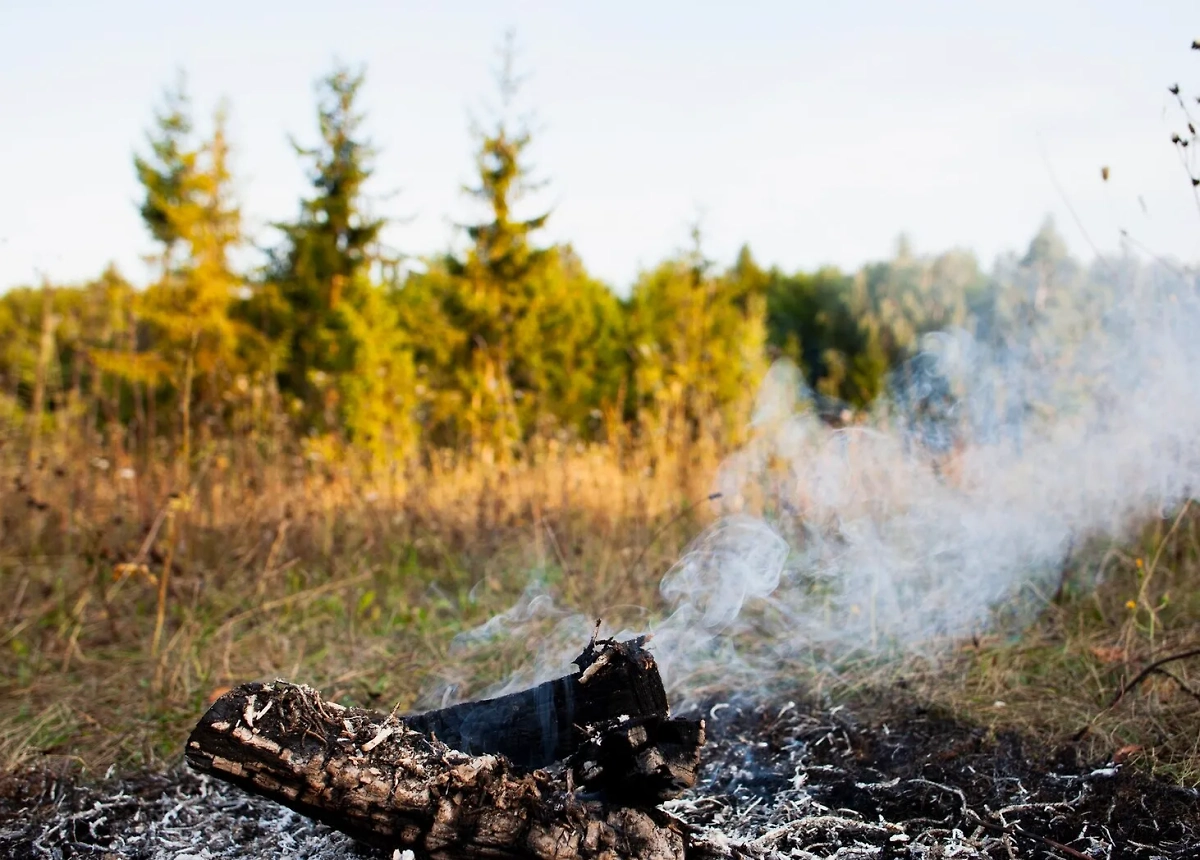 Фото 48 — Лесной пожар в горах