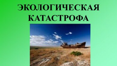 Photo of Экологическая катастрофа в реке