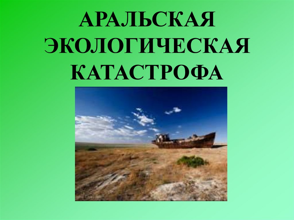 Фото 26 — Экологическая катастрофа в реке